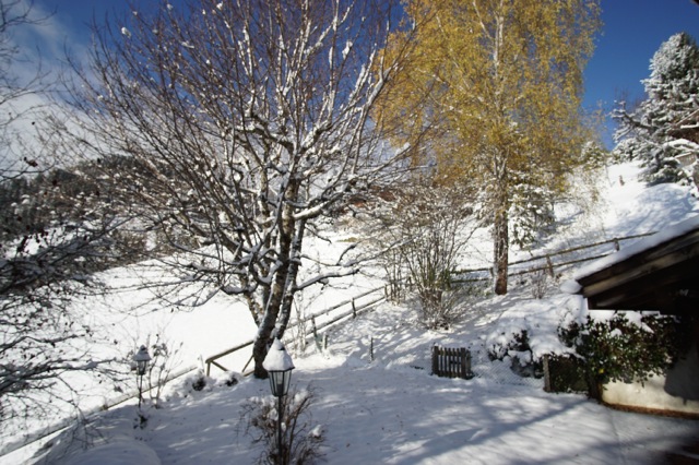 DSC00977 Chalets Gstaad Fallen